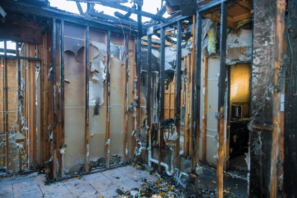 Professional Fire Damage Removal technician working in Hawaii, HI
